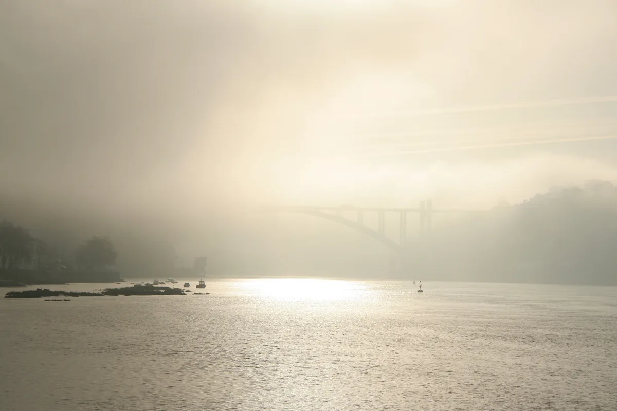 Morning fog